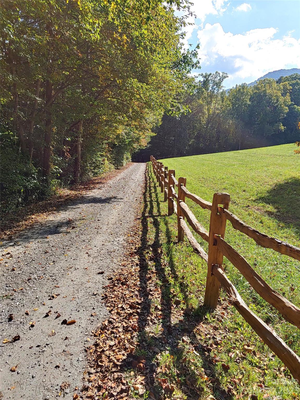 32 Magic Mountain Road Candler, NC 28715 - Photo 41 of 44 a view of a yard with wooden fence
