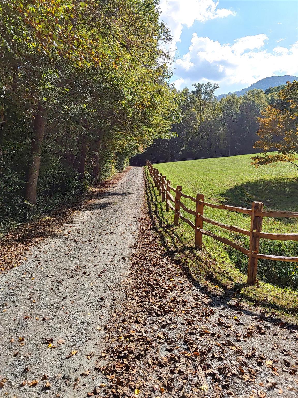 32 Magic Mountain Road Candler, NC 28715 - Photo 42 of 44 a view of a yard with wooden fence