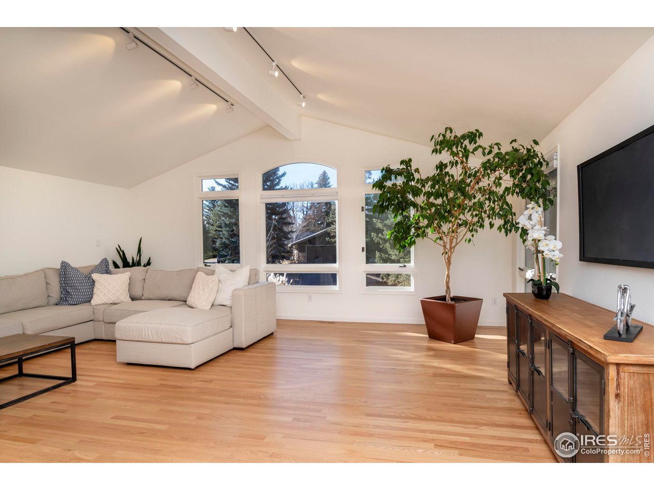 5332 Spotted Horse Trail Boulder, CO 80301 - Photo 27 of 40 a living room with furniture and a flat screen tv