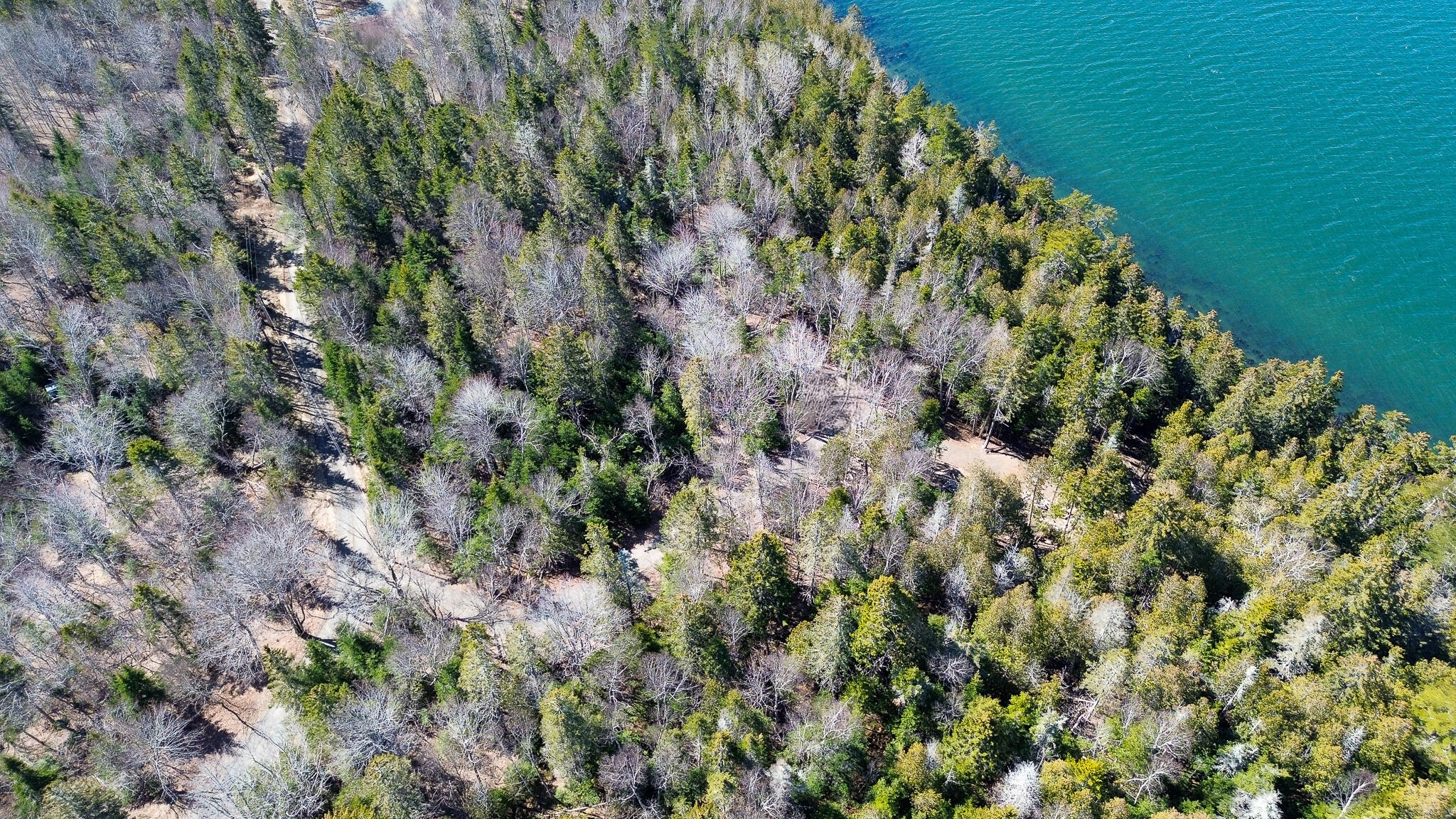 9 Raft Cove Road Lubec, ME 04652 - Photo 25 of 34 24