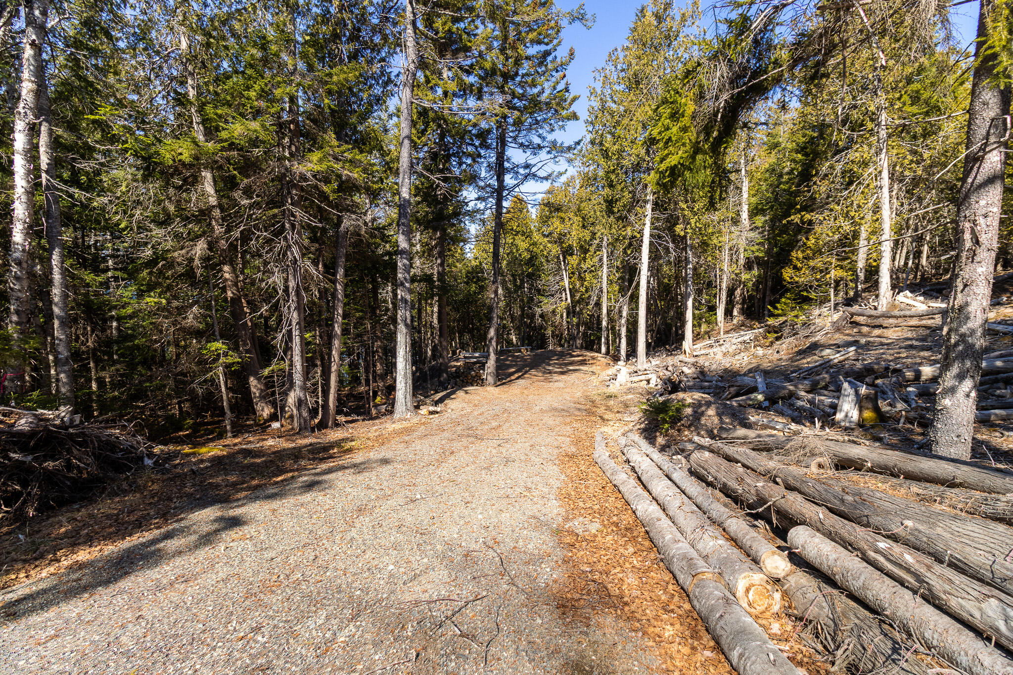 9 Raft Cove Road Lubec, ME 04652 - Photo 34 of 34 33