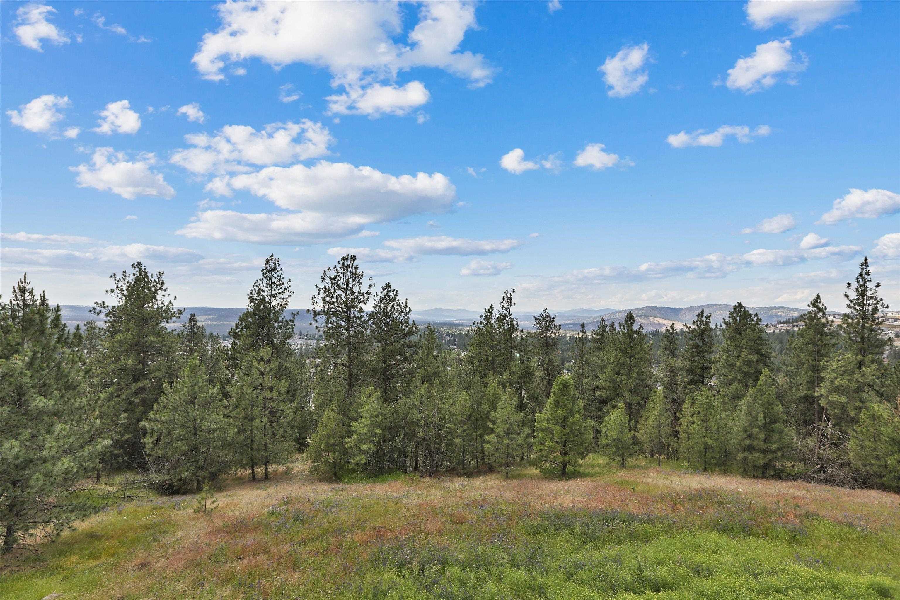 8905 North Rustle Road Spokane, WA 99208 - Photo 17 of 45