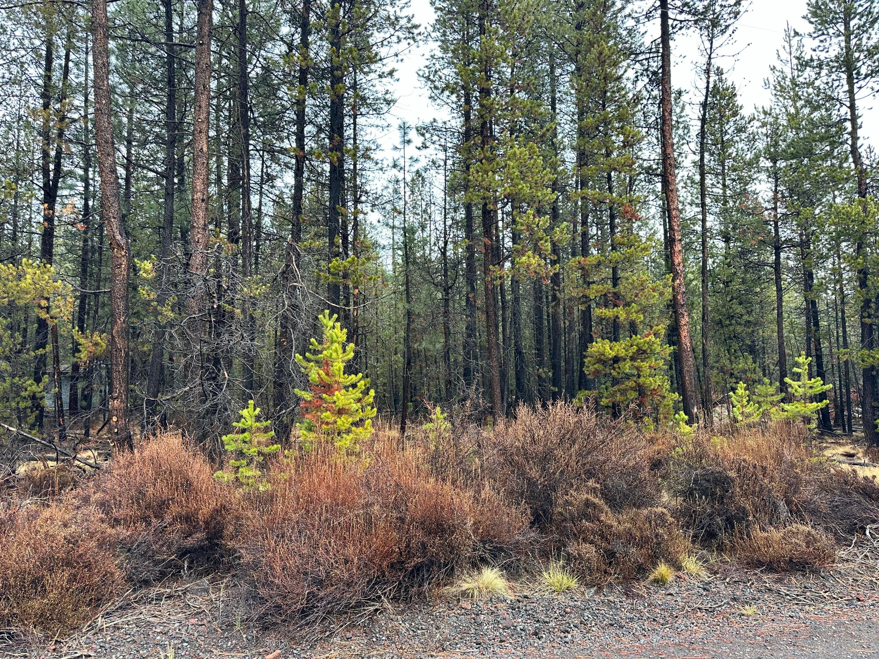 16842 Elsinore Road Bend, OR 97707 - Photo 3 of 7 03