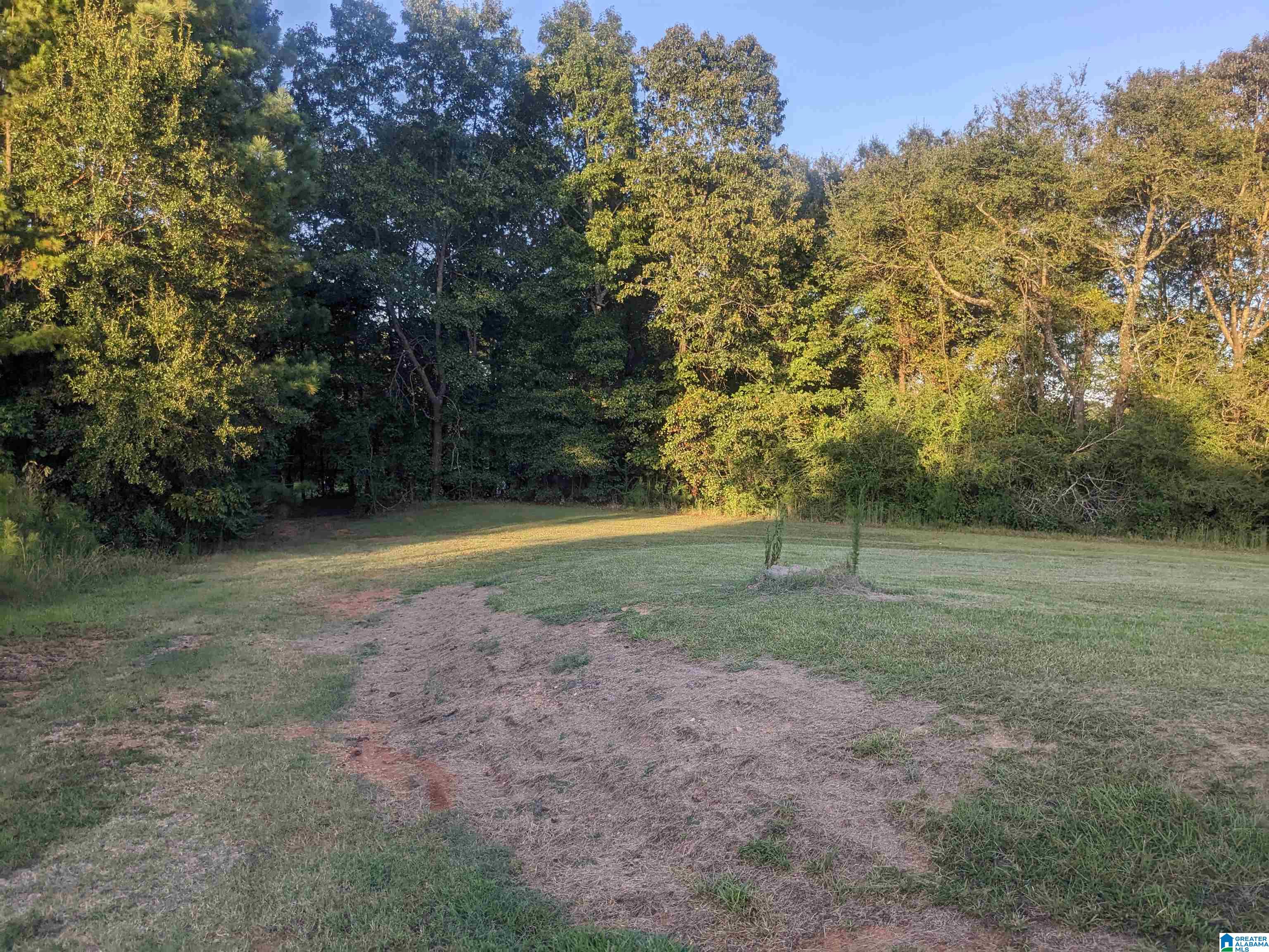 908 Antioch Road Anniston, AL 36207 - Photo 3 of 15