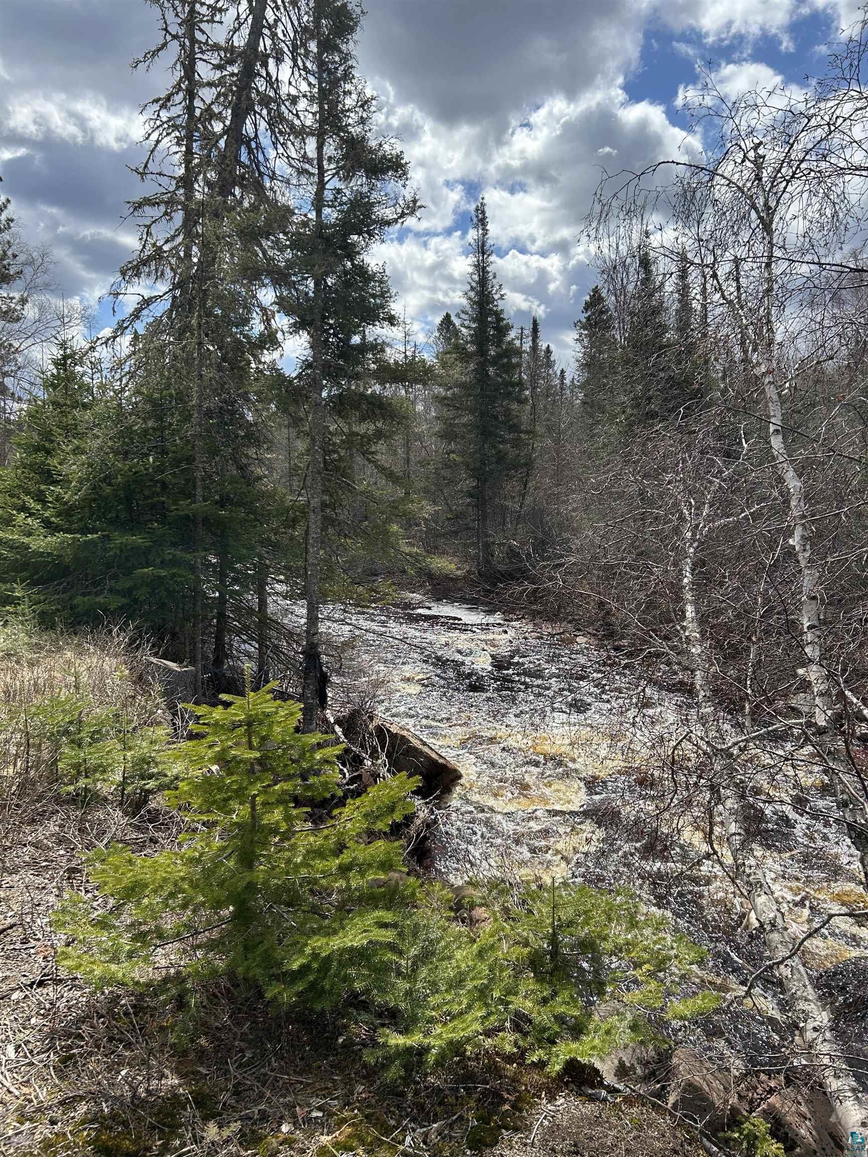 7185 State Highway 1 Finland, MN 55603 - Photo 48 of 73