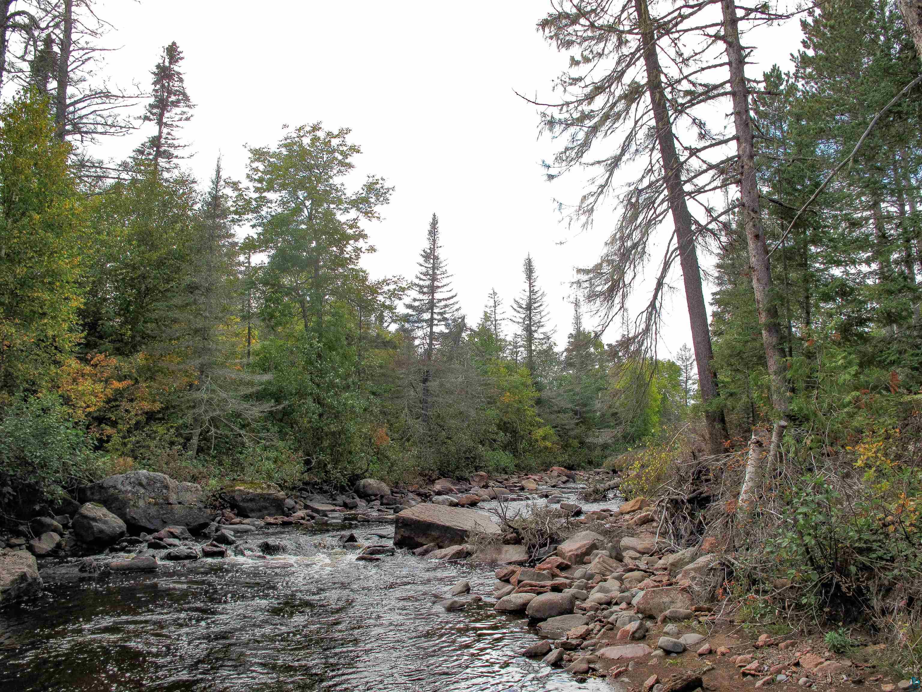 7185 State Highway 1 Finland, MN 55603 - Photo 58 of 73