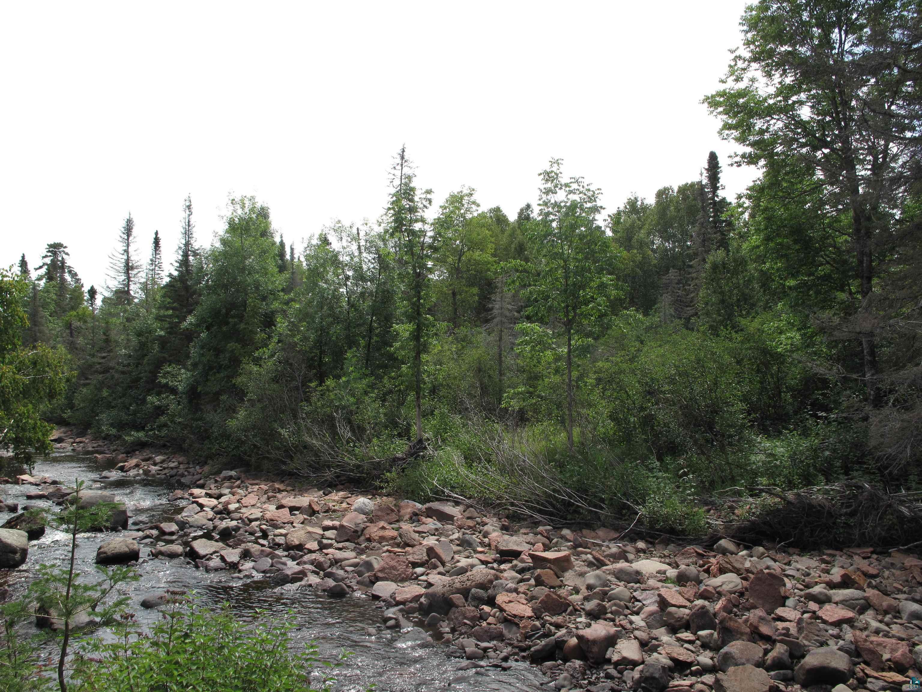 7185 State Highway 1 Finland, MN 55603 - Photo 64 of 73