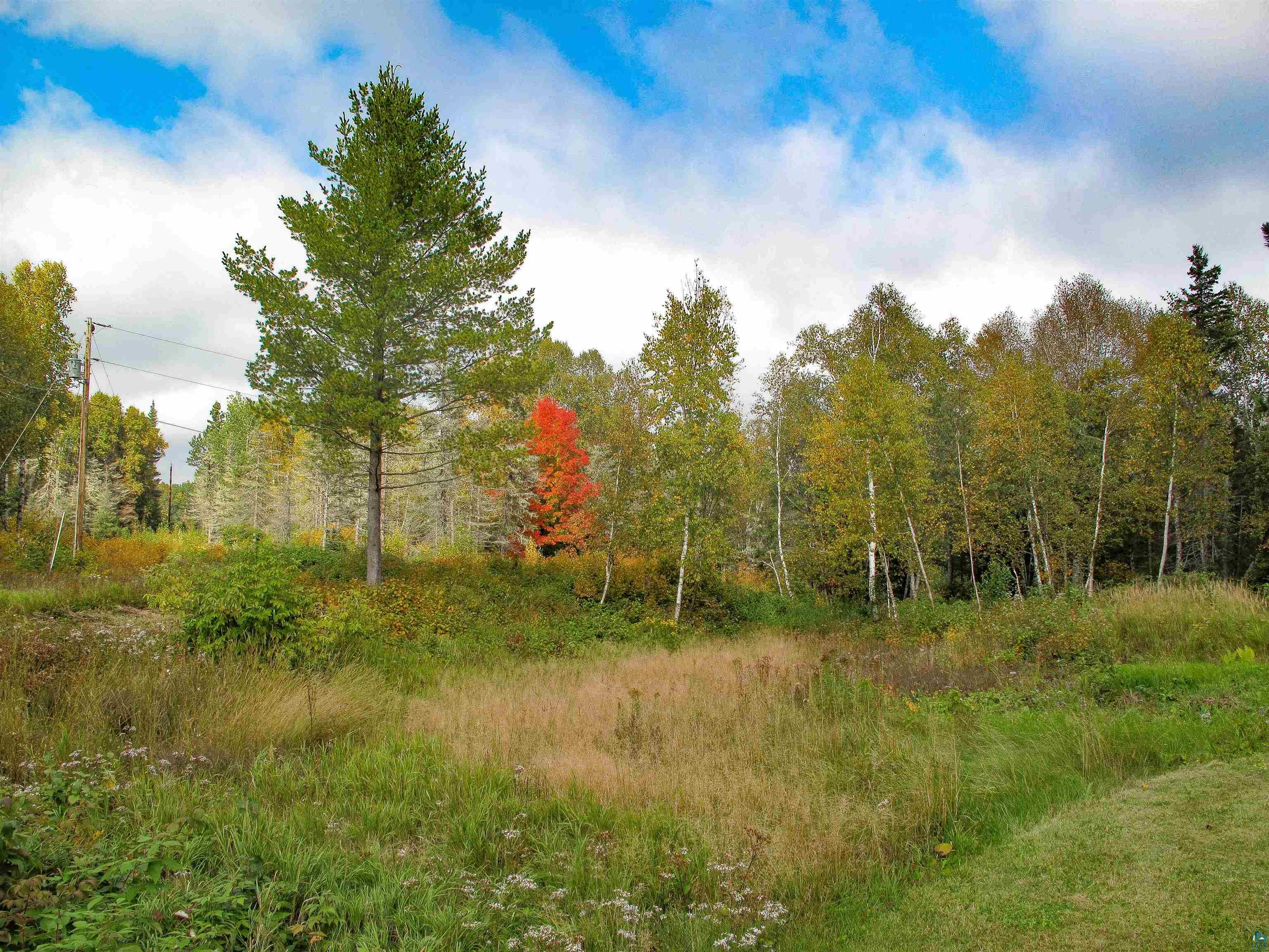 7185 State Highway 1 Finland, MN 55603 - Photo 66 of 73