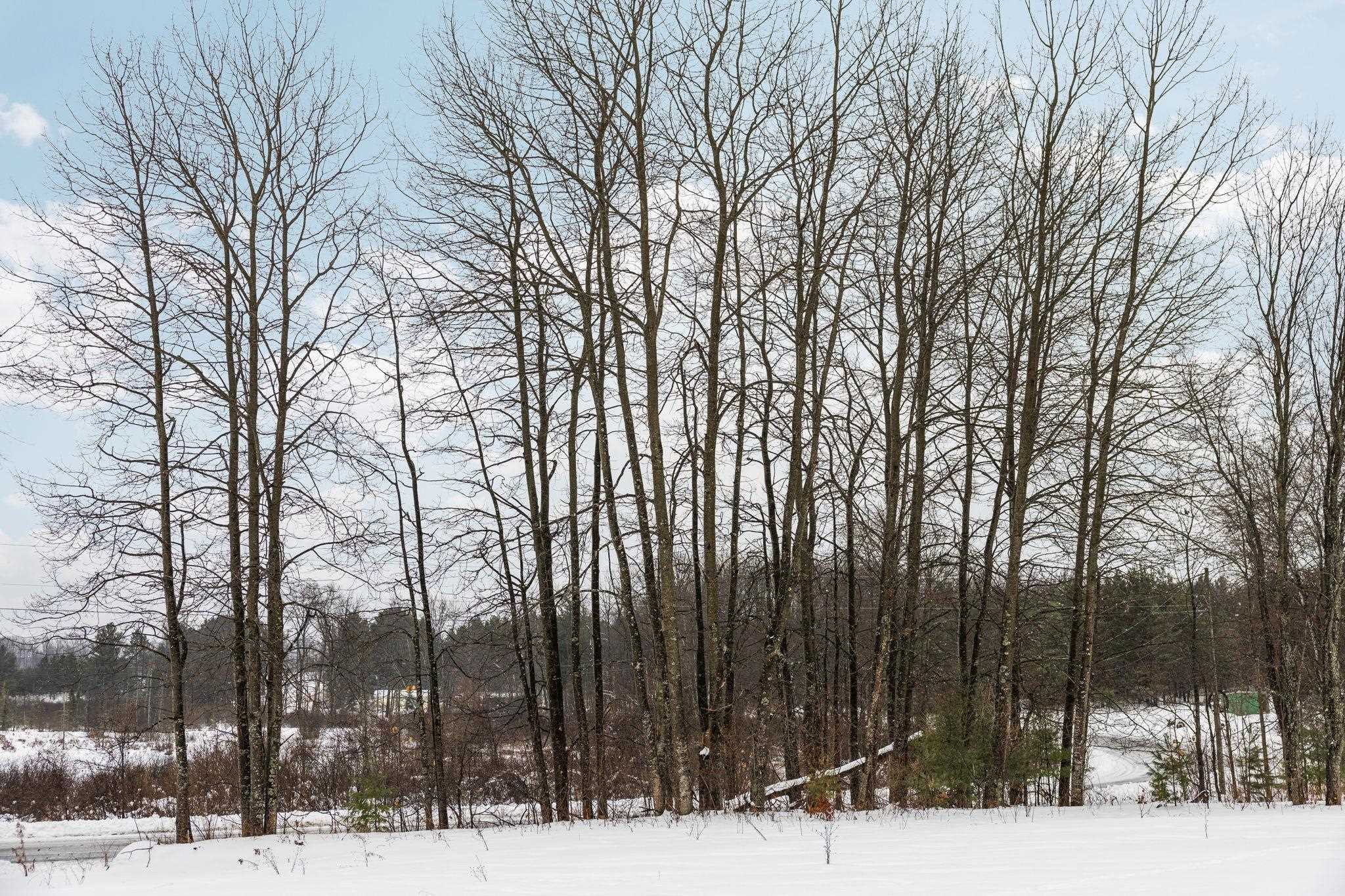 9756 Deibert Road Southwest South Boardman, MI 49680 - Photo 11 of 19 Gallery Image 11