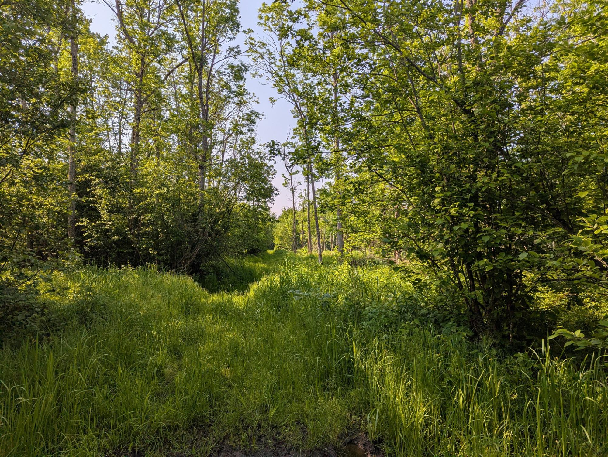 W181 Midway Road Hawkins, WI 54530 - Photo 52 of 56 Gallery Image 52