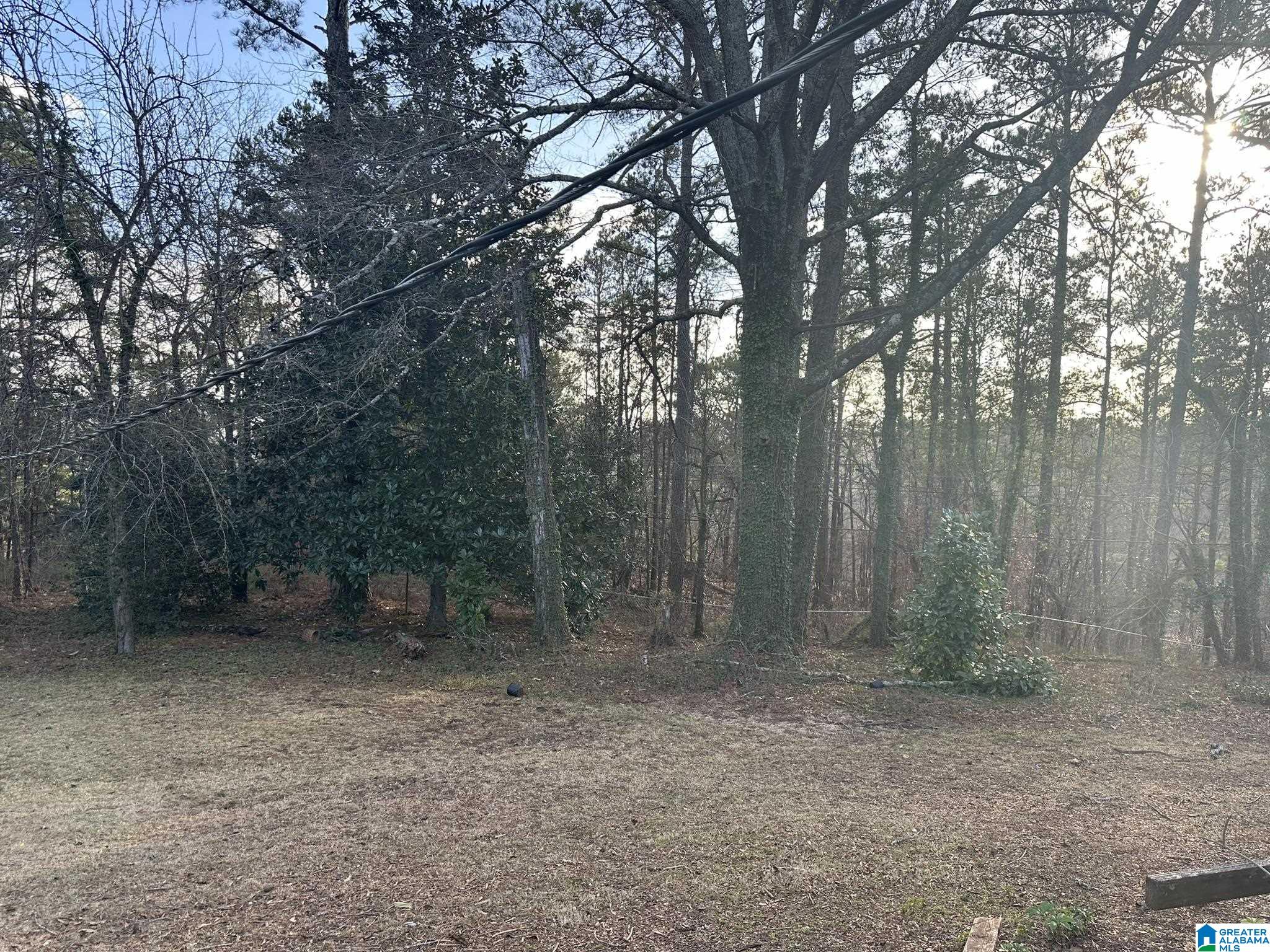 5 Hilltop Road Sylacauga, AL 35150 - Photo 8 of 11