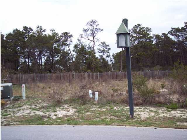 Lot 62 Willow Mist Inlet Beach Inlet Beach, FL 32461 - Photo 1 of 1 a view of a lake view