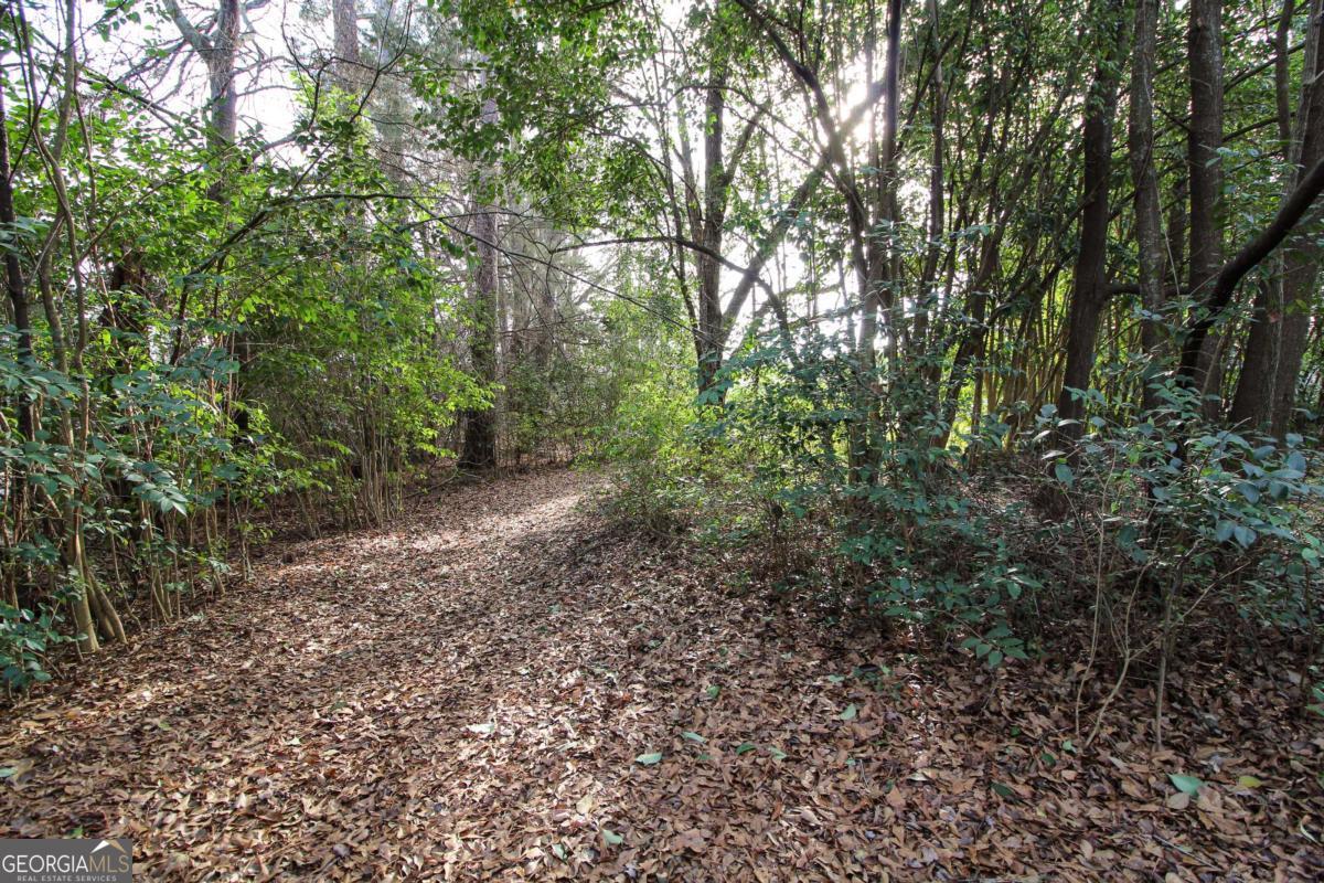 921 Highway 72 Comer, GA 30629 - Photo 52 of 55 a view of a forest with trees in the background