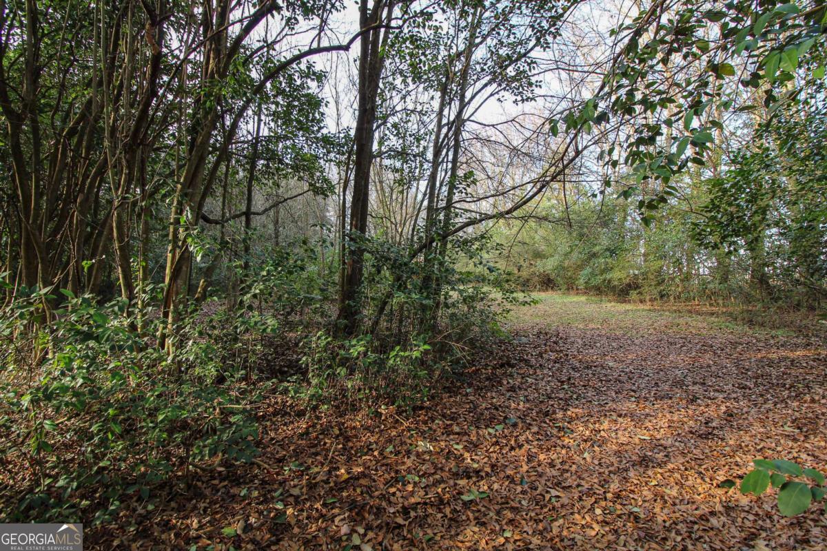 921 Highway 72 Comer, GA 30629 - Photo 53 of 55 a view of a yard with a tree