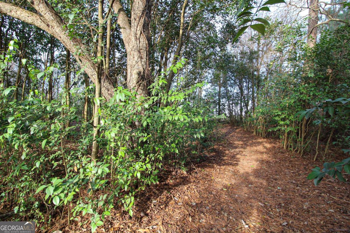 921 Highway 72 Comer, GA 30629 - Photo 54 of 55 a view of a yard with plants and trees