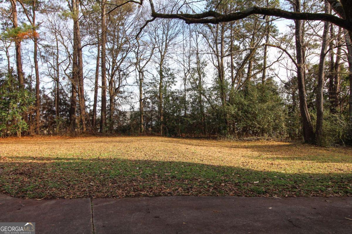 921 Highway 72 Comer, GA 30629 - Photo 55 of 55 a view of a yard with an outdoor space