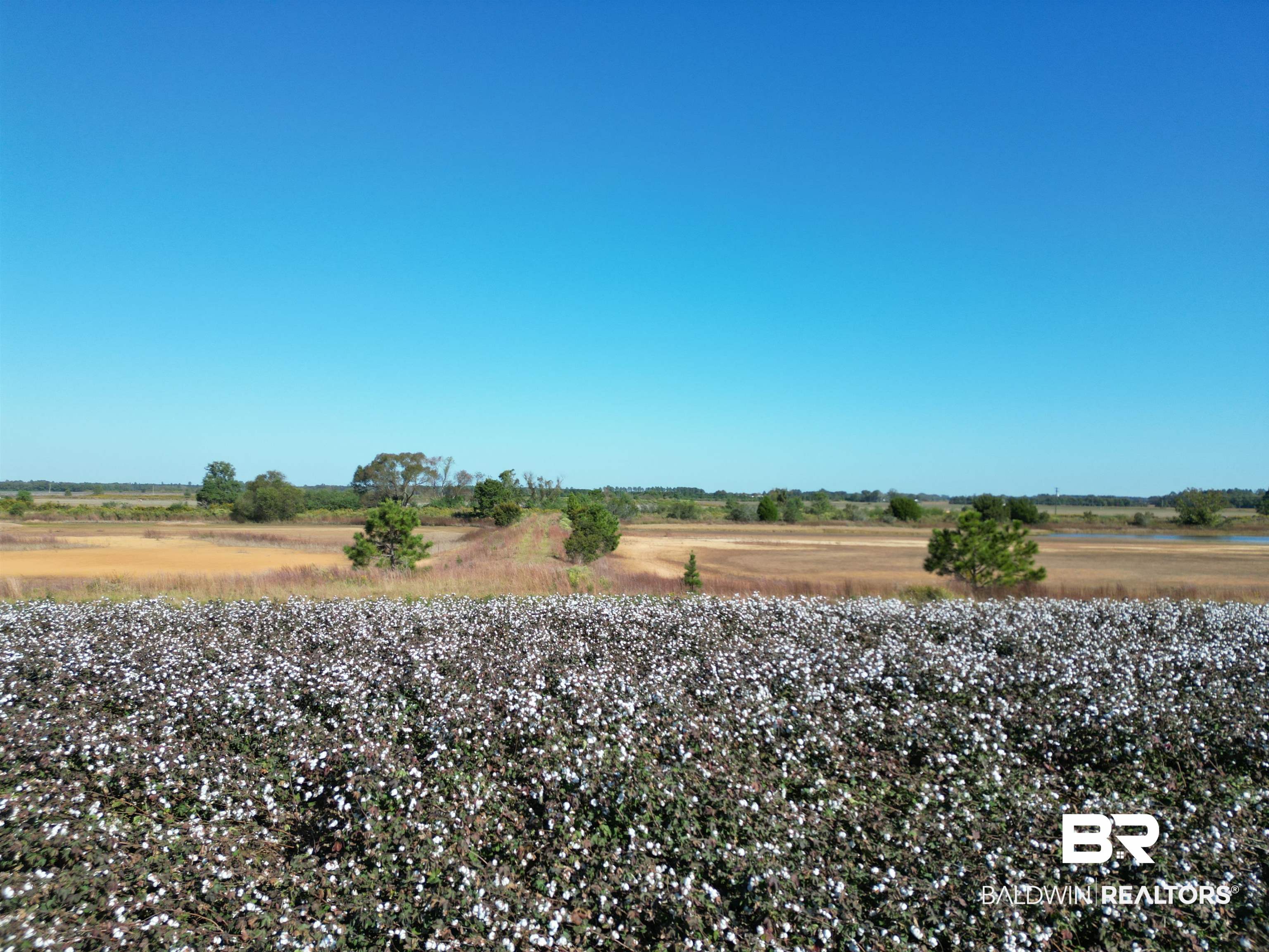 0 South Highway 99 Walnut Hill, FL 32568 - Photo 14 of 18 View of yard featuring a rural view