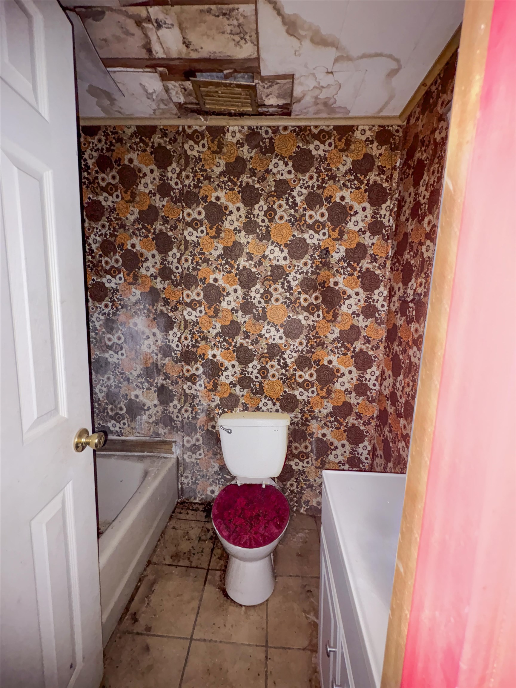 5223 Mt Tabor Road Marianna, FL 32446 - Photo 6 of 18