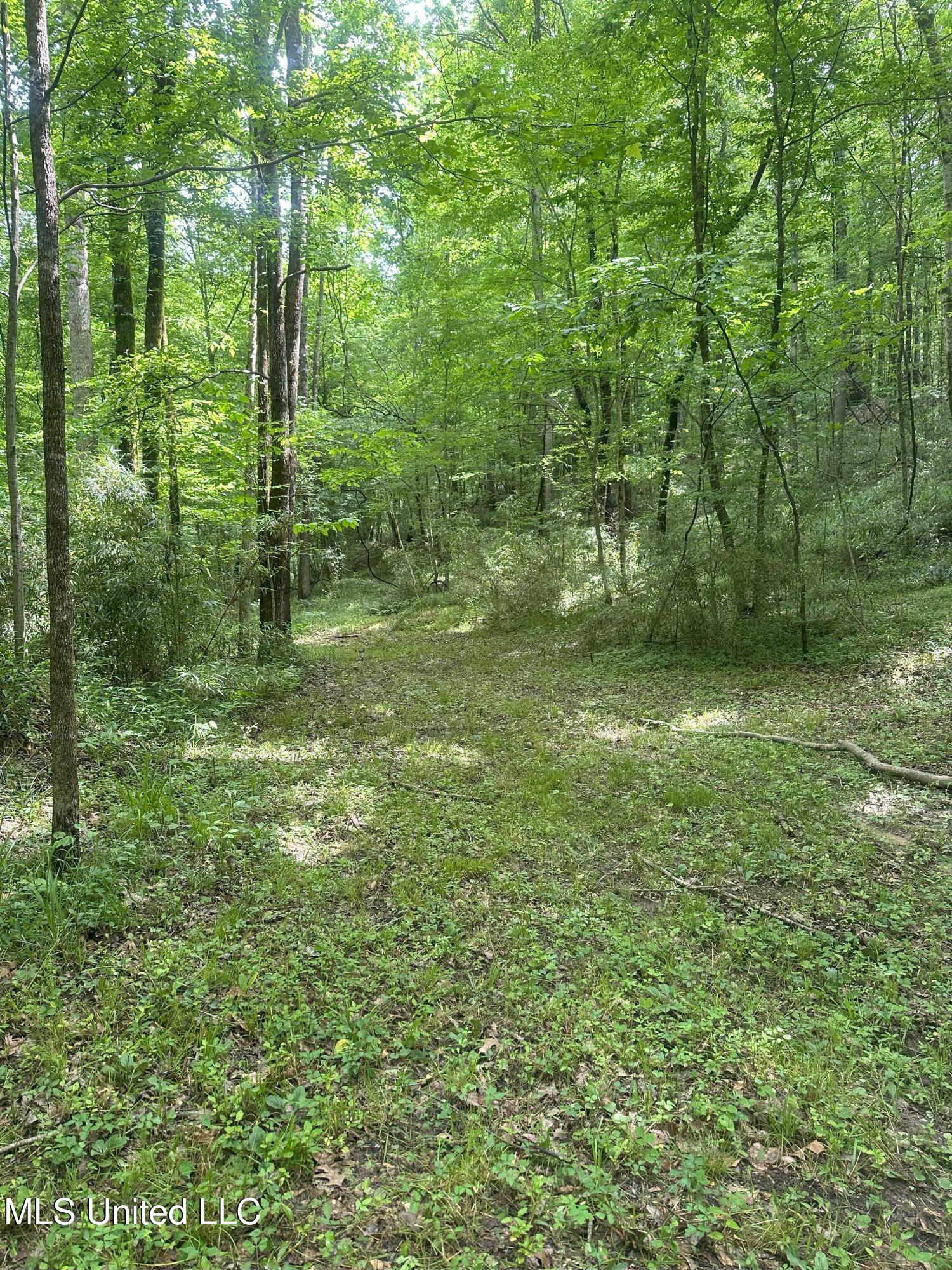 768 Lake Boulevard Vicksburg, MS 39180 - Photo 21 of 60 IMG_1266