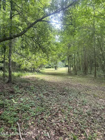 $747,500 | 768 Lake Boulevard, Vicksburg, MS 39180