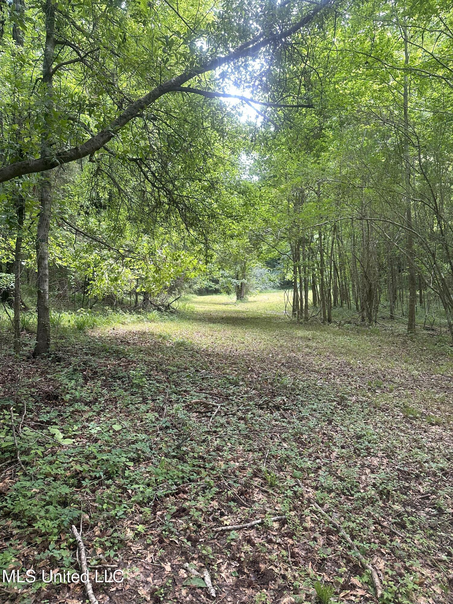 768 Lake Boulevard Vicksburg, MS 39180 - Photo 22 of 60 IMG_1282