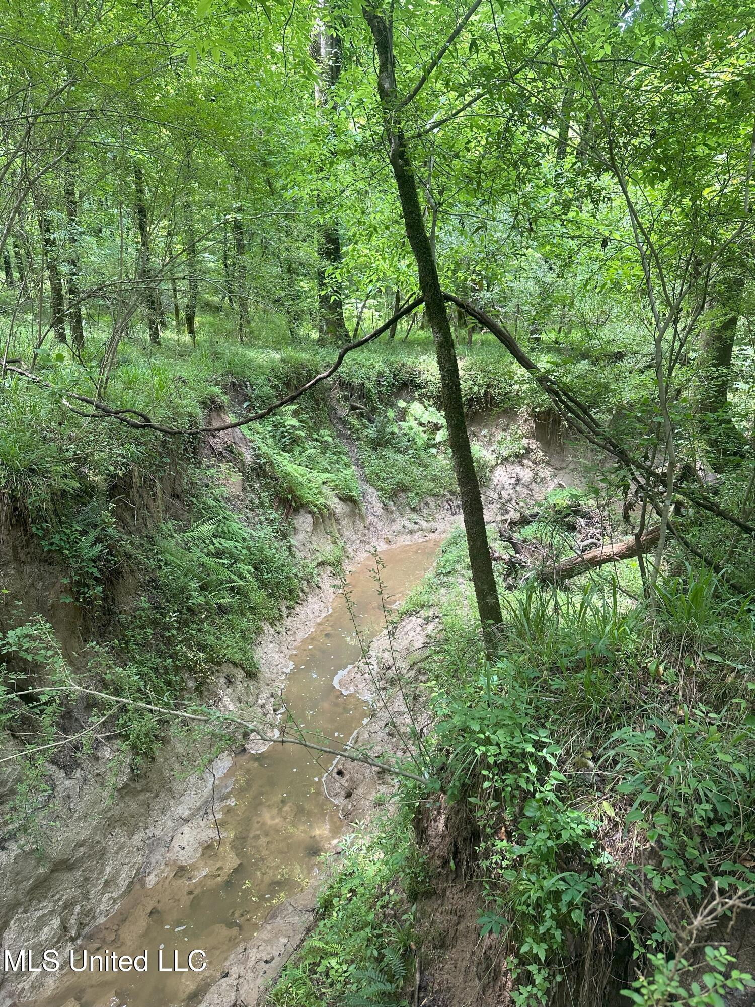 768 Lake Boulevard Vicksburg, MS 39180 - Photo 23 of 60 IMG_1302