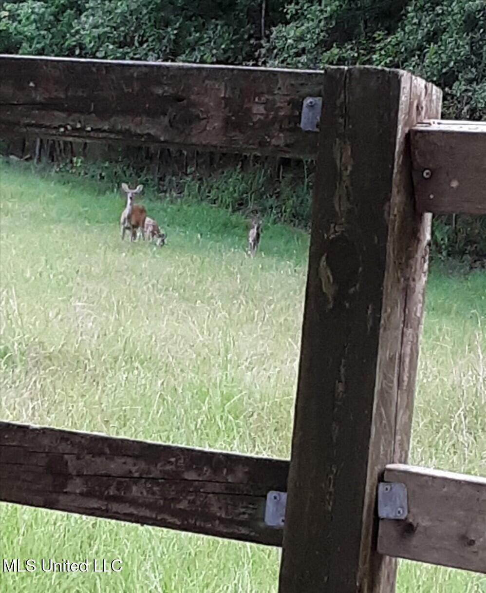 768 Lake Boulevard Vicksburg, MS 39180 - Photo 56 of 60 deer