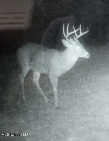 $747,500 | 768 Lake Boulevard, Vicksburg, MS 39180