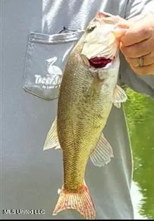 $747,500 | 768 Lake Boulevard, Vicksburg, MS 39180