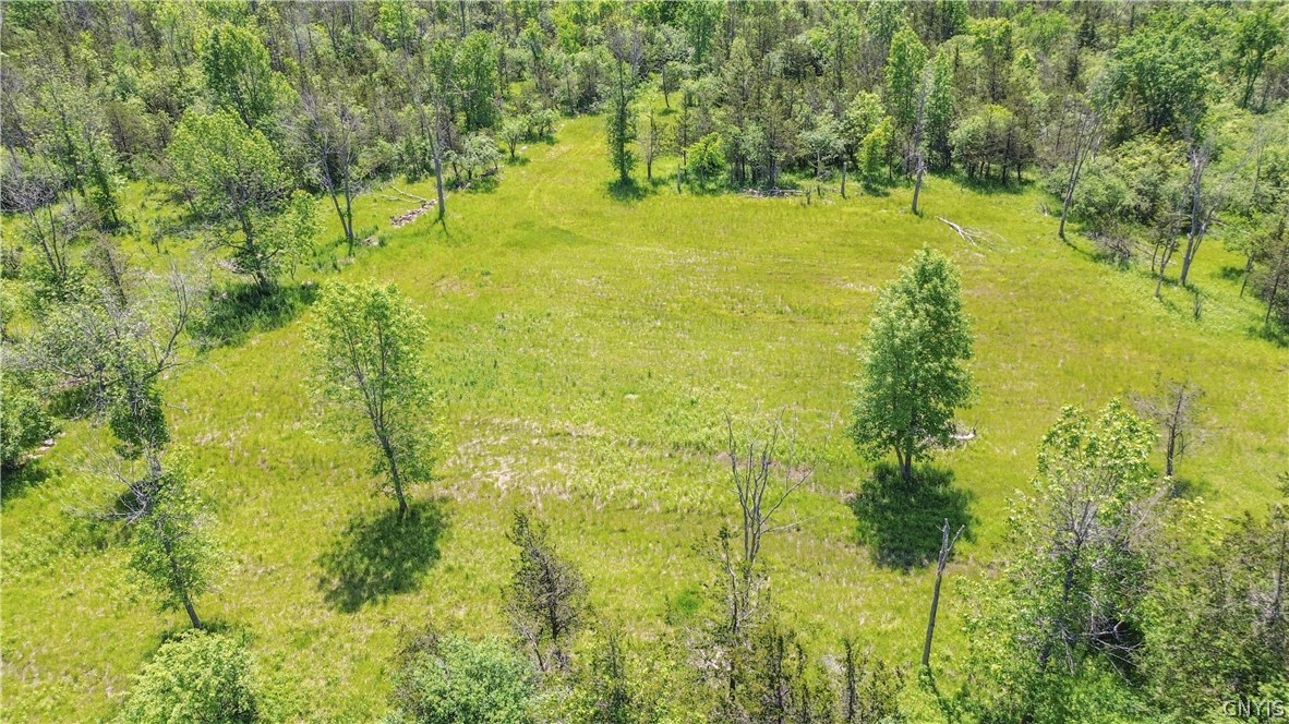 0 Middle Road Dexter, NY 13634 - Photo 10 of 23