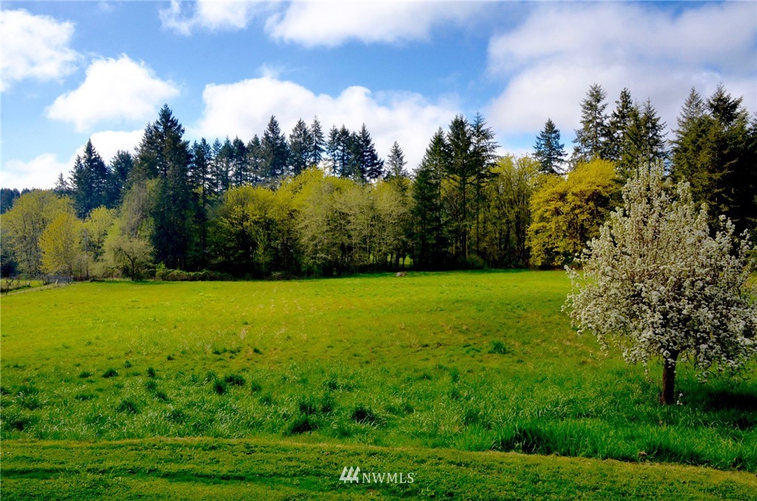 13140 Olalla Valley Road Southeast Olalla, WA 98359 - Photo 22 of 25 Gallery Image 22