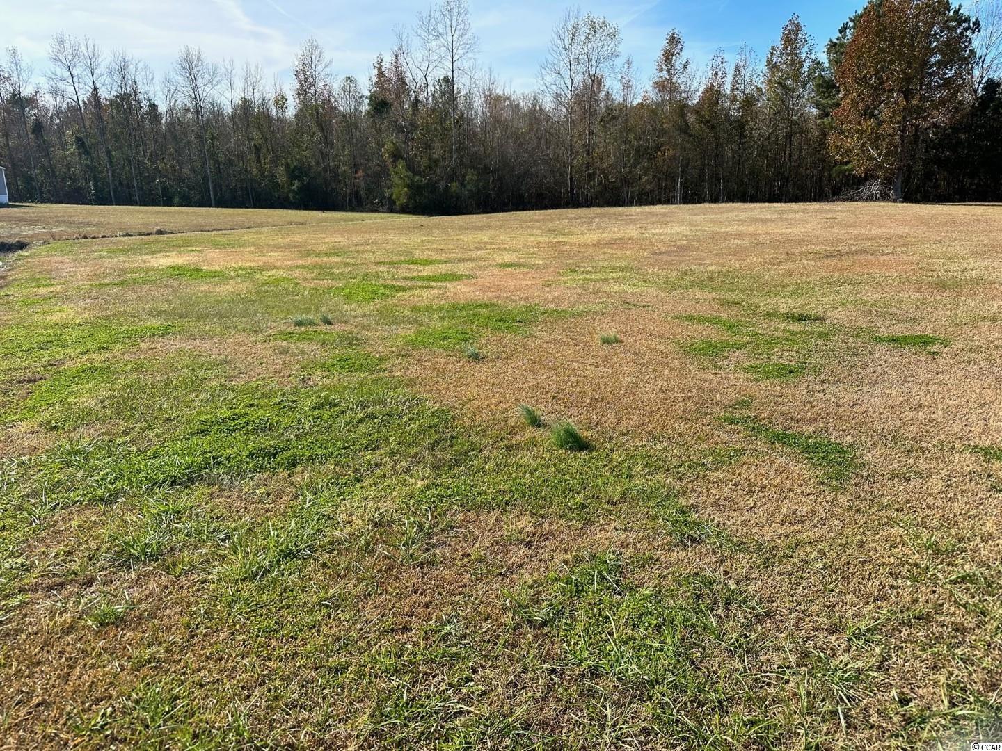 Lot 1 Mack Road Conway, SC 29526 - Photo 3 of 6 Gallery Image 3