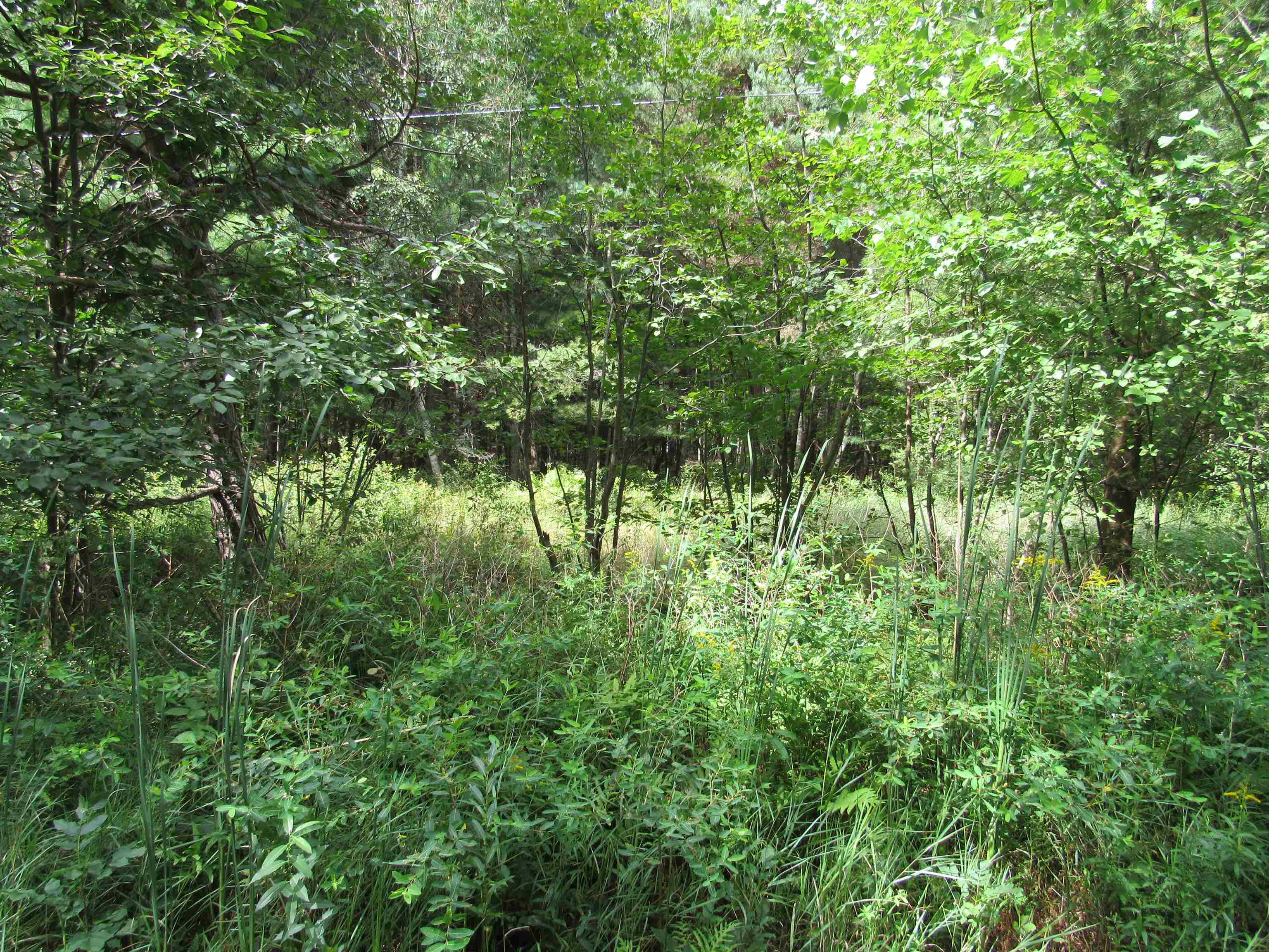 0 Duby Road, Unit PARCEL C2 Tawas City, MI 48763 - Photo 1 of 4