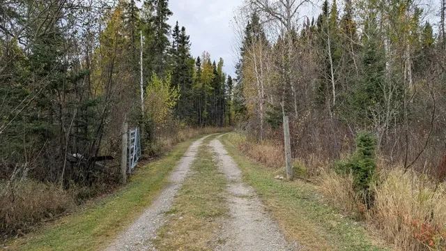 $250,000 | 1637 Wakely Road, Cook, MN 55723