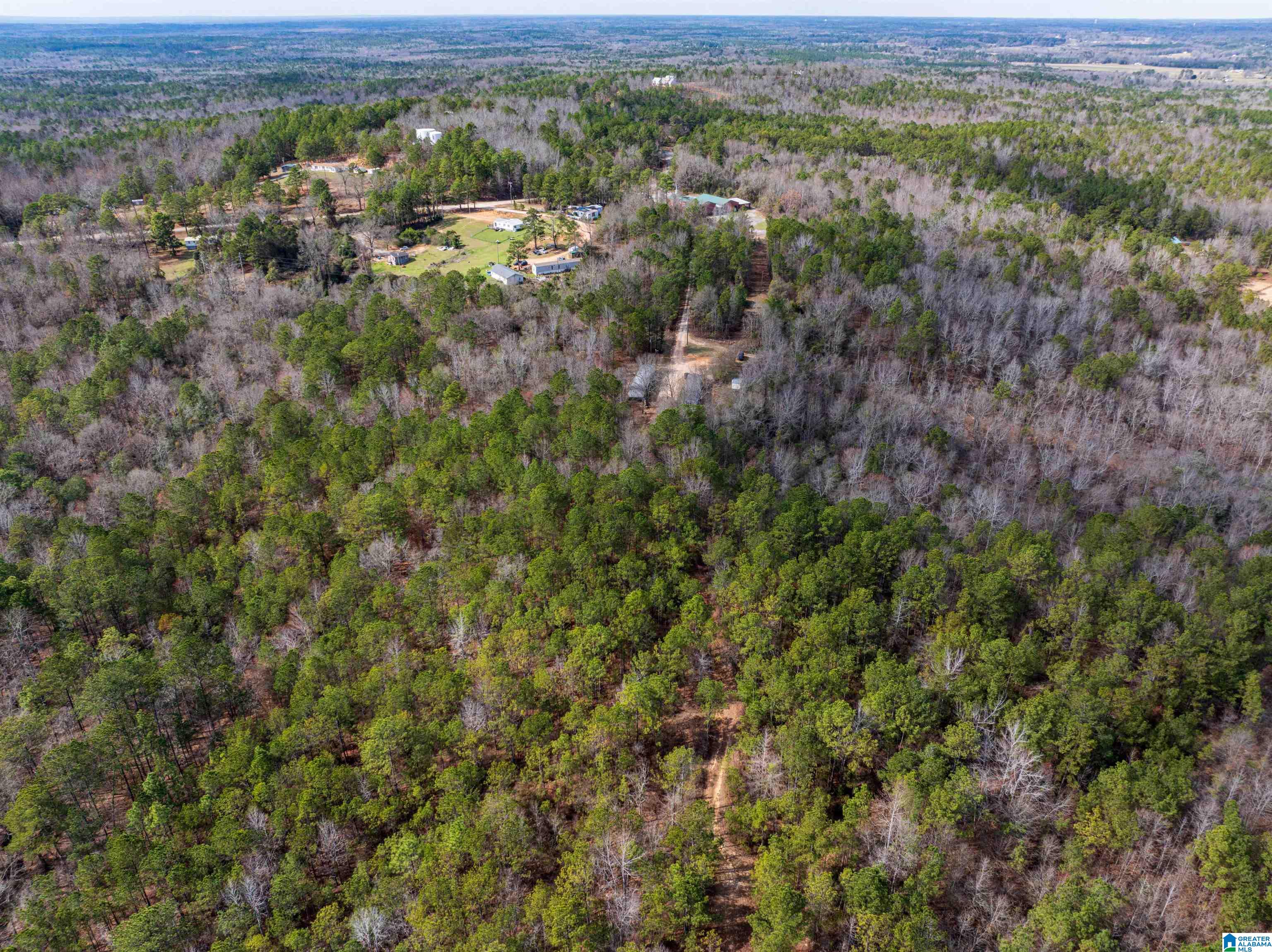 0 Flat Rock Road Tallassee, AL 36078 - Photo 6 of 13