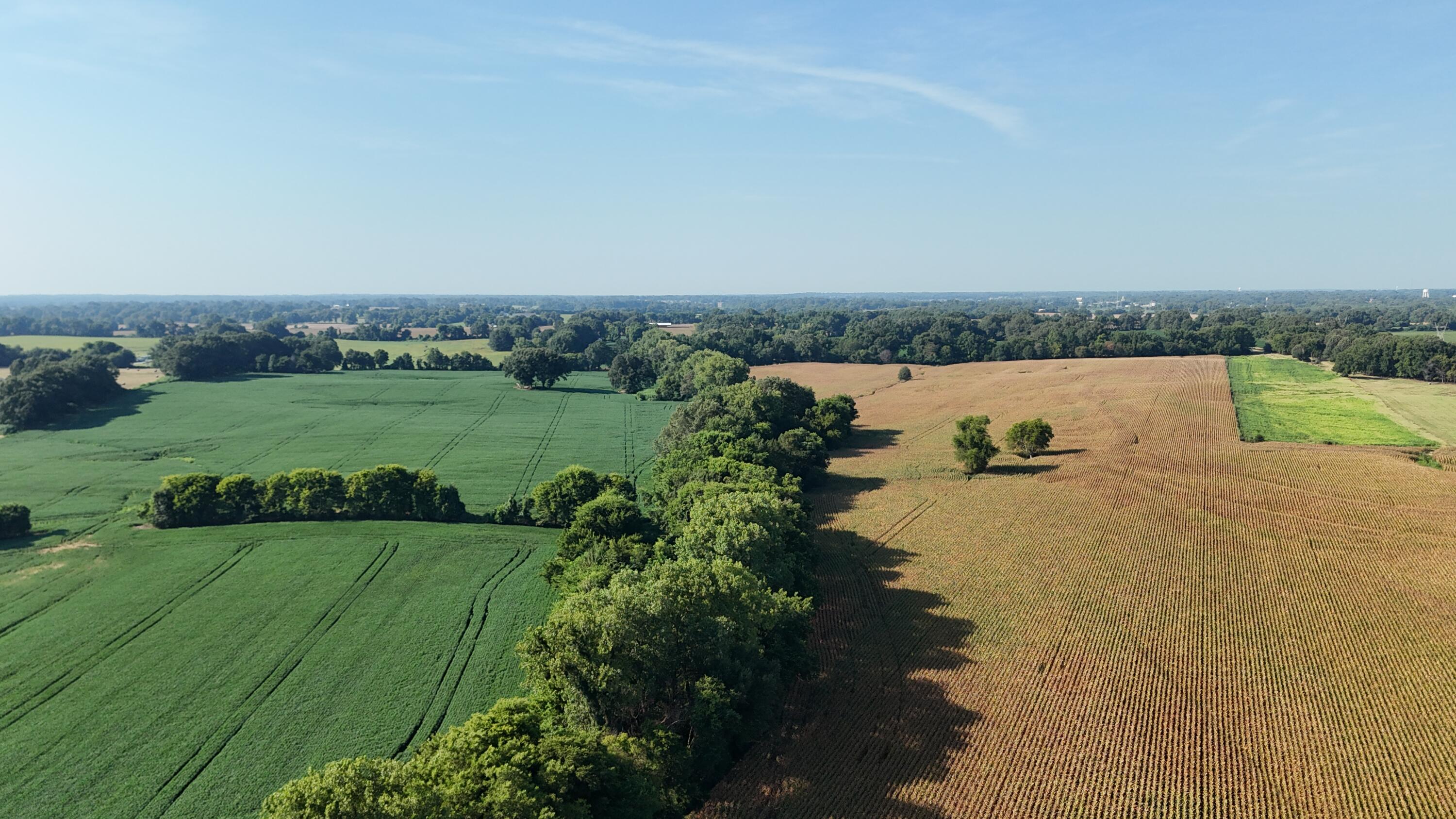 3920 Antioch Highway 51 Road Covington, TN 38019 - Photo 31 of 32 DJI_20250819104555_0154_D