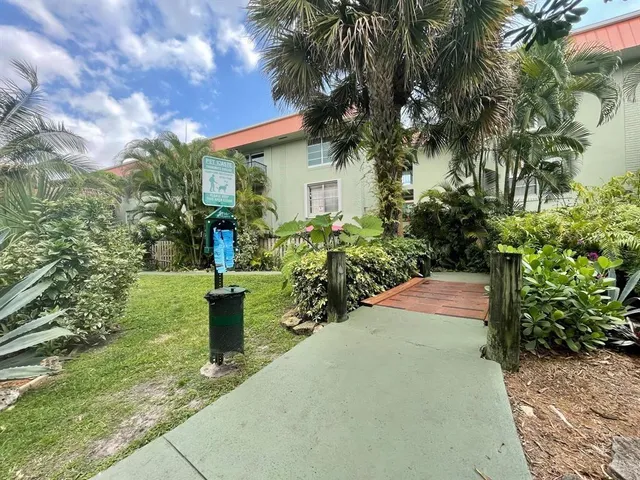 a view of a backyard with potted plants and large trees