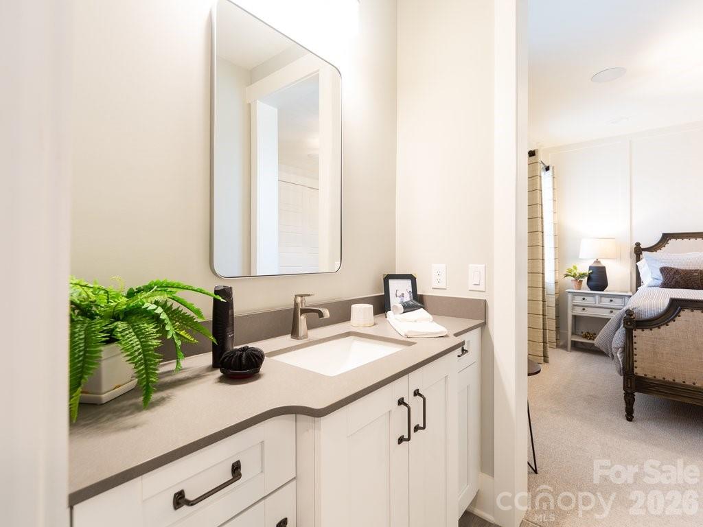 110 Willow Vw Loop Davidson, NC 28036 - Photo 28 of 42 a bathroom with a sink and a mirror