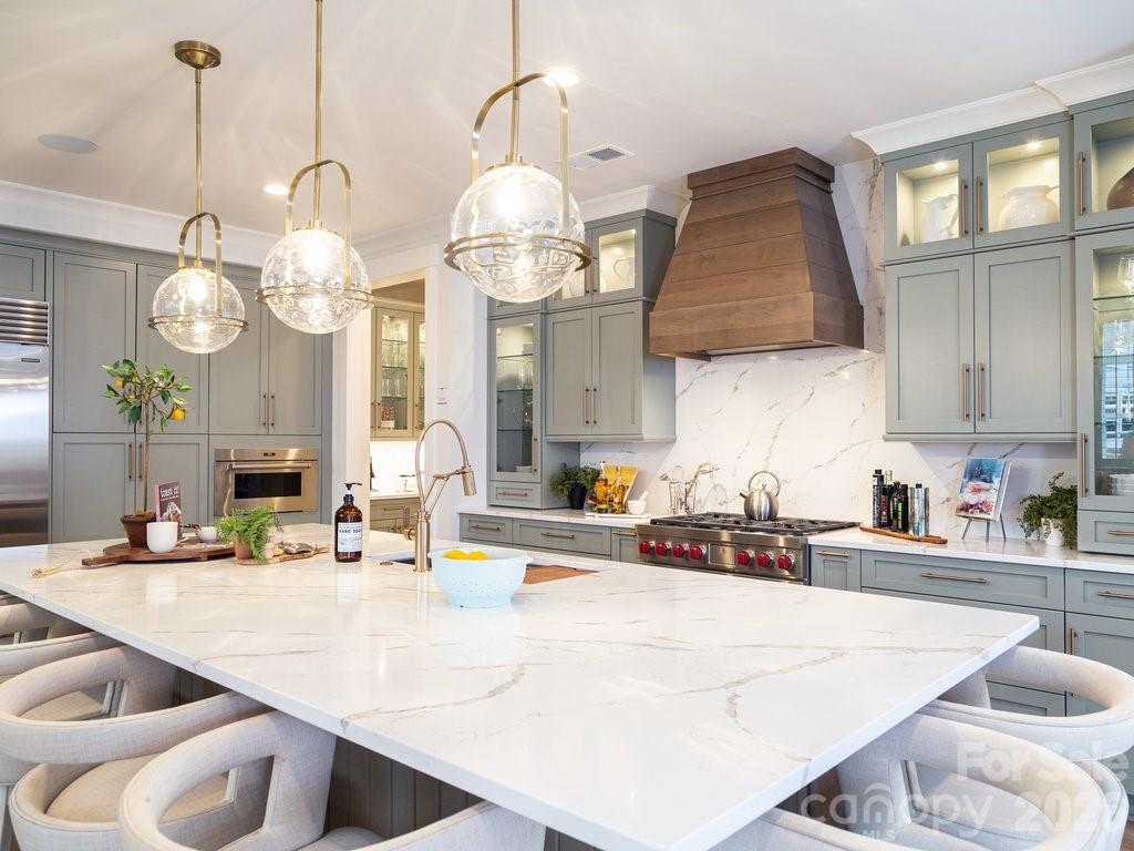 110 Willow Vw Loop Davidson, NC 28036 - Photo 4 of 42