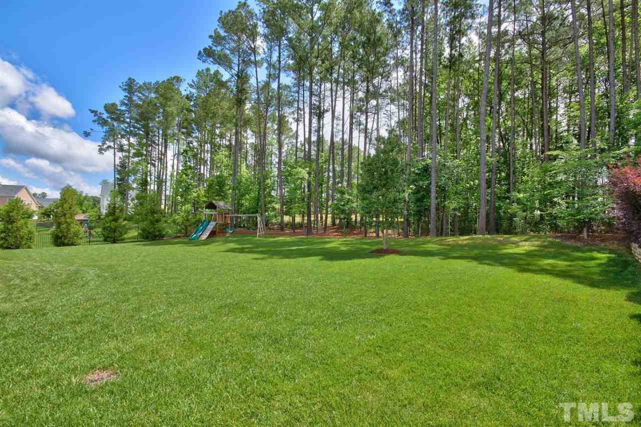 209 Bridle Boast Road Cary, NC 27519 - Photo 24 of 25 a view of a park with large trees