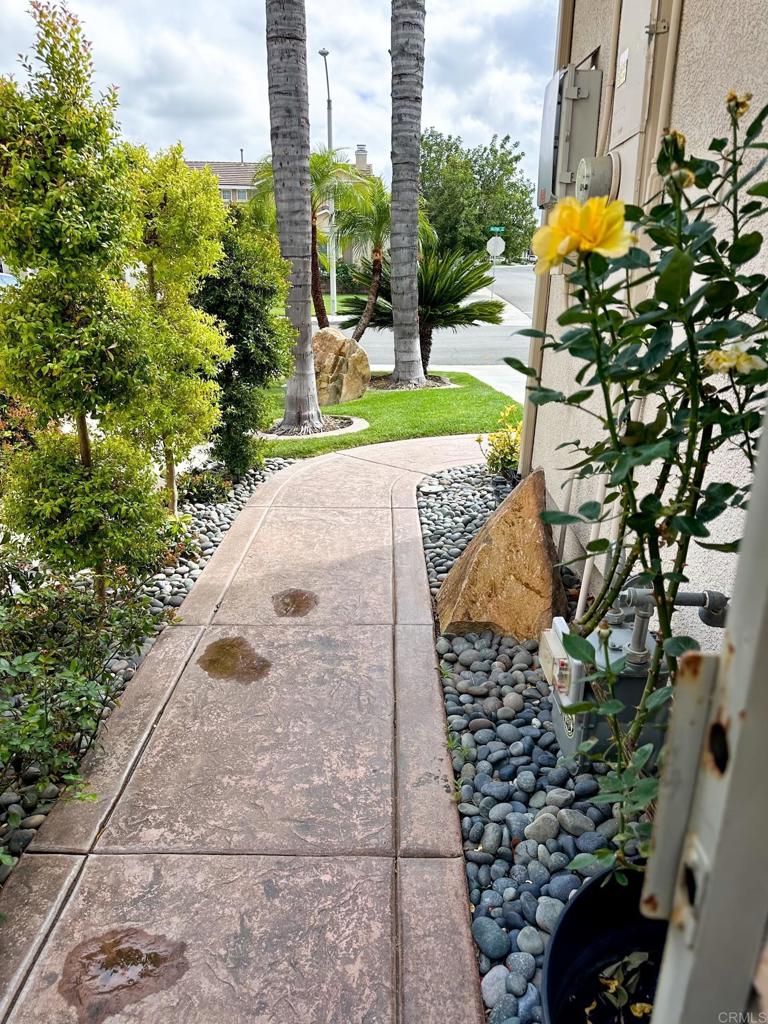 29824 Talitha Way Murrieta, CA 92563 - Photo 24 of 27 a view of a yard with plants