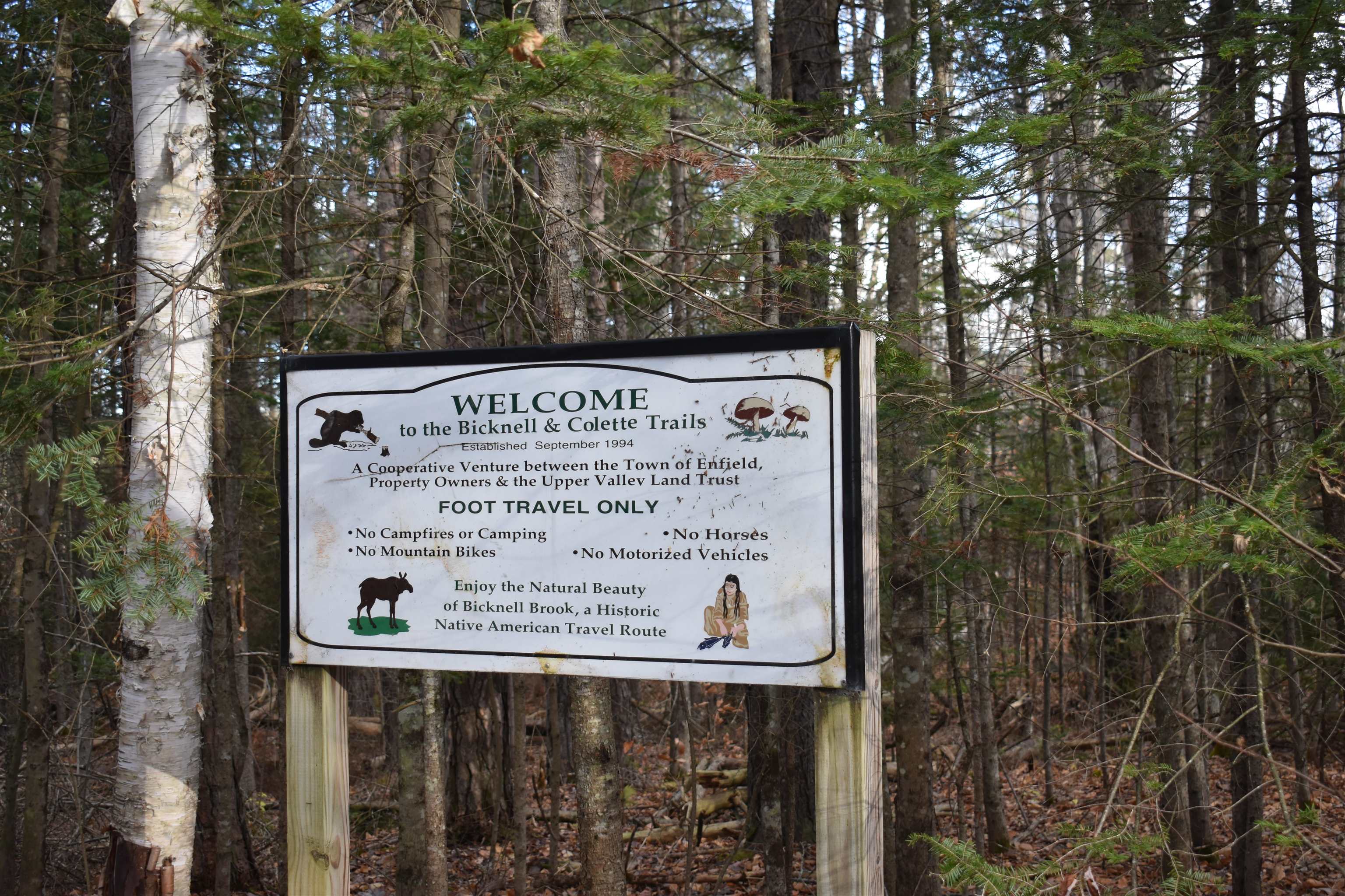 0 Grafton Pond Road Enfield, NH 03748 - Photo 22 of 24