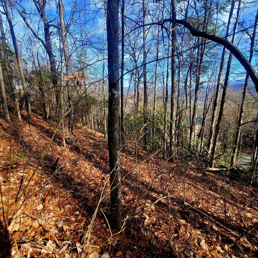 17 Zurich Road Gatlinburg, TN 37738 - Photo 6 of 24