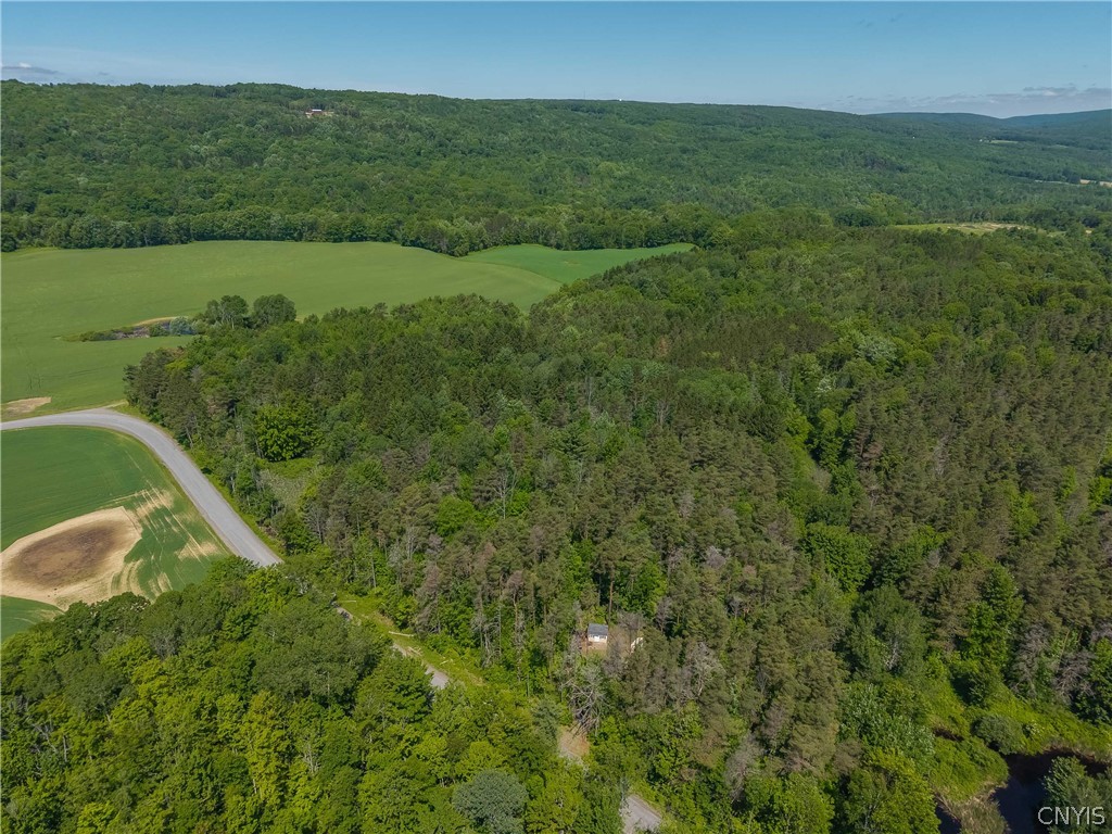 8804 Becker Road Springwater, NY 14572 - Photo 29 of 34