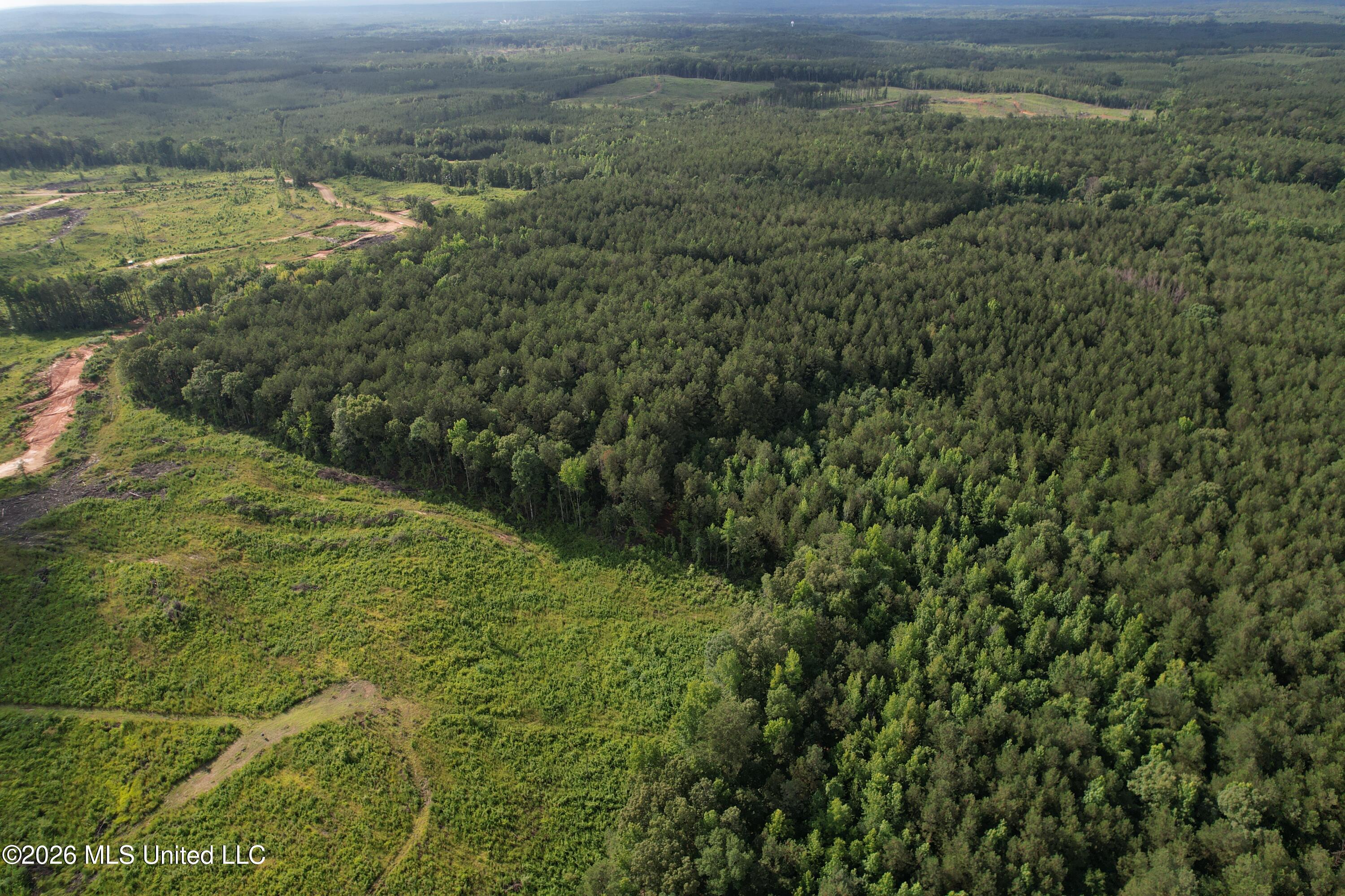 2136 Co Road McCool, MS 39108 - Photo 24 of 29 dji_fly_20260616_172440_138_178213276500