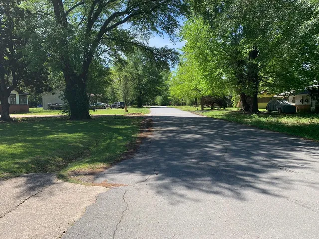 a view of a yard with plants and large trees