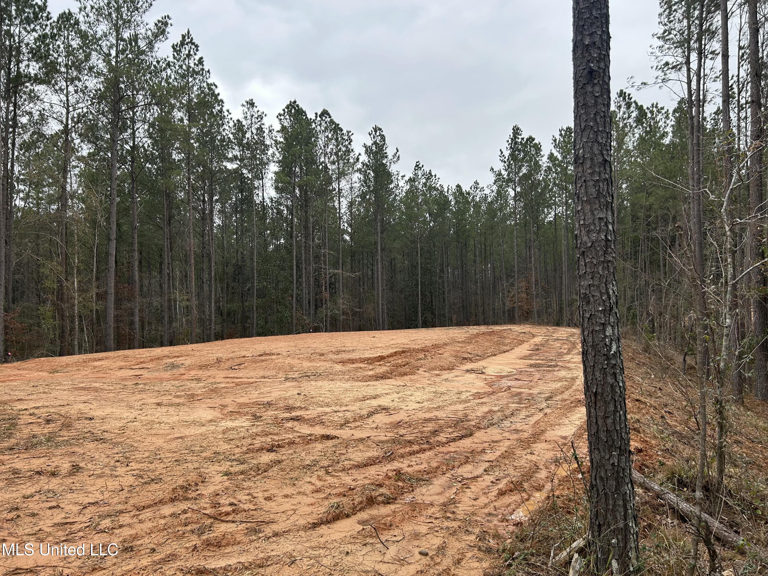 Pelahatchie Road Pelahatchie, MS 39145 - Photo 6 of 9 tempImageKnRT51