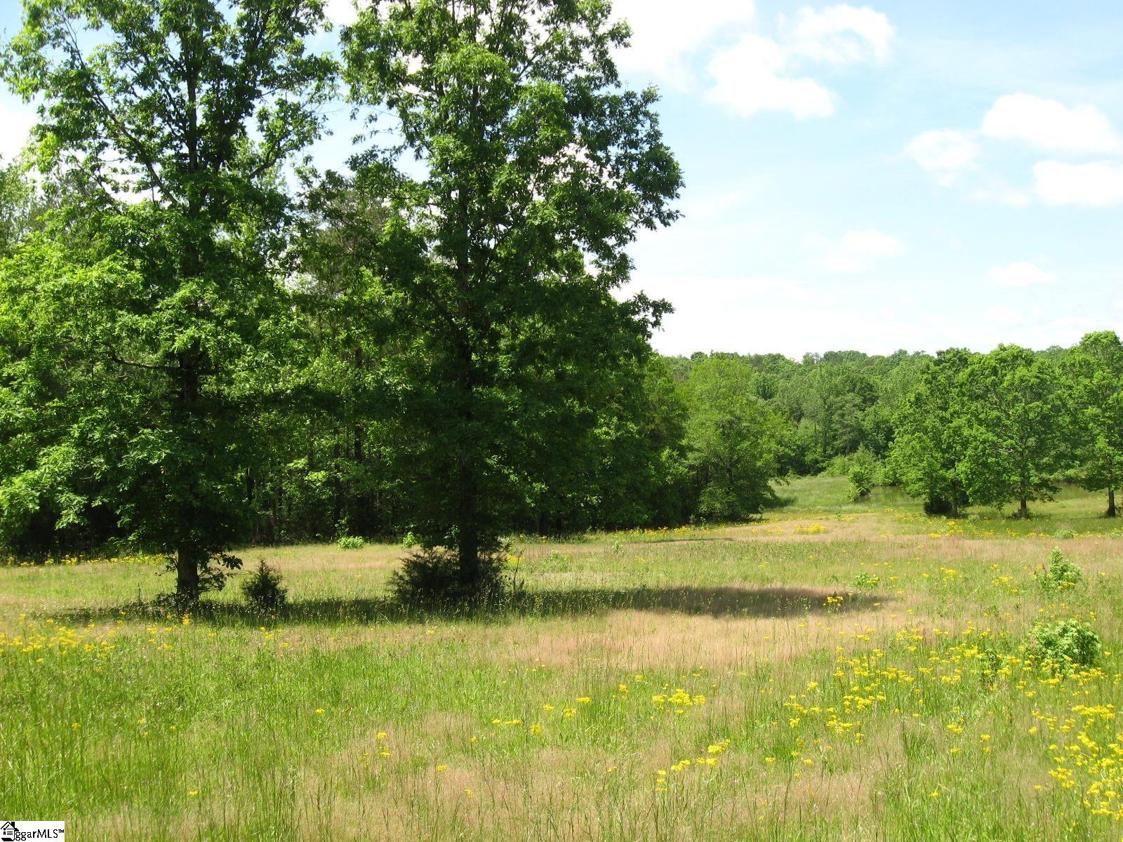 758 Dunklin Bridge Road Pelzer, SC 29669 - Photo 1 of 17