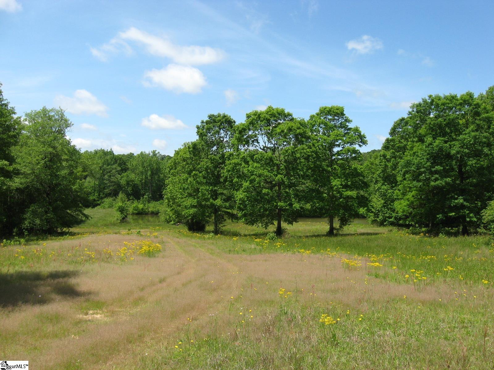 758 Dunklin Bridge Road Pelzer, SC 29669 - Photo 8 of 17