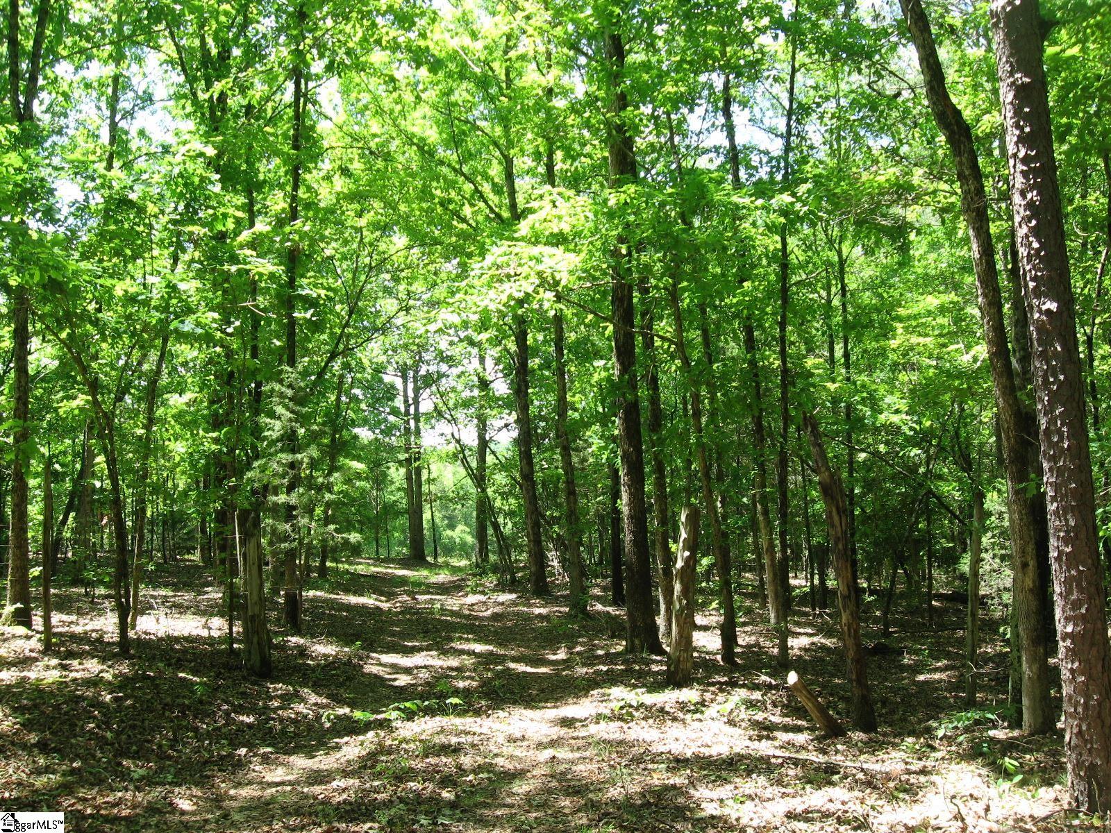 758 Dunklin Bridge Road Pelzer, SC 29669 - Photo 10 of 17